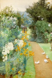 Lilies and Doves in a Corner of my Garden